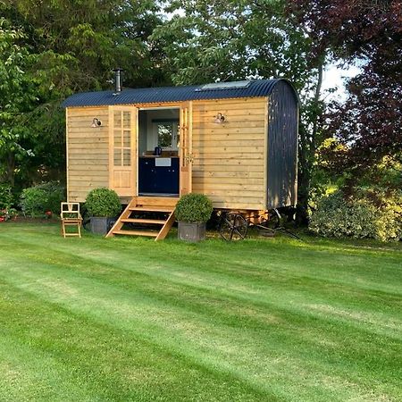 Bannfield Shepherds Hut Ballymoney Luaran gambar
